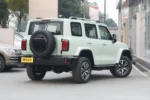 Tank 300 Time Traveler Compact SUV– Buy Direct From China |  Chinese Ev Cars in Ethiopia