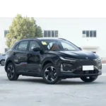 Neta X 500– Buy Direct From China |   Chinese Ev Cars in Ethiopia - Image 5